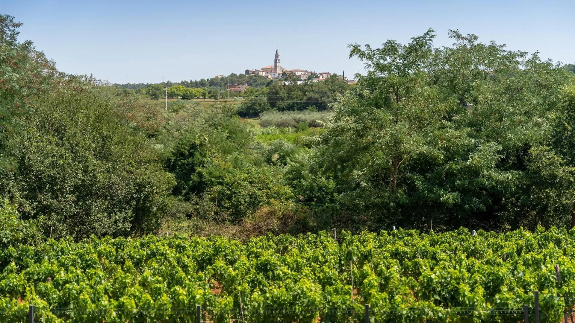 Beautiful Villa Perlin With Pool In Visnjan Farini Croatie